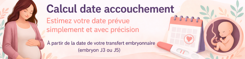 Estimation de grossesse FIV simplifiée